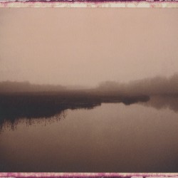 Duck Creek in Fog (2013)