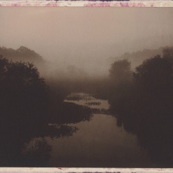 Red Lion Creek in Fog (2013)